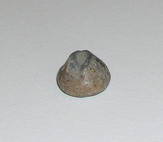 Conical Bead