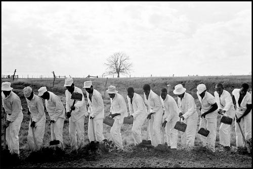 The line, Ferguson Unit, Texas from the series Conversations with the Dead