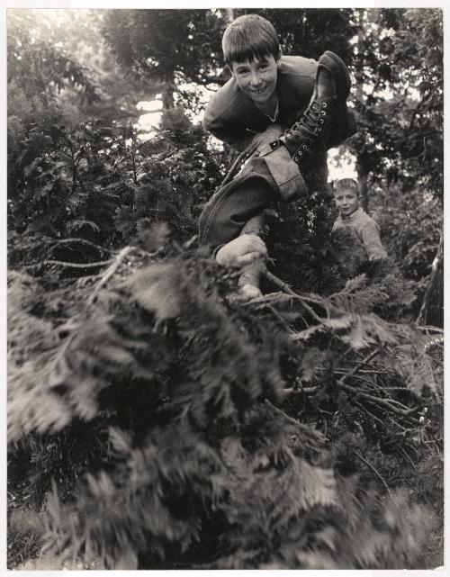 Boys in Trees, Summerhill School, England