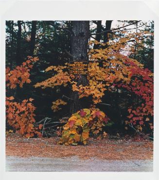 October 1981, Rangely Maine