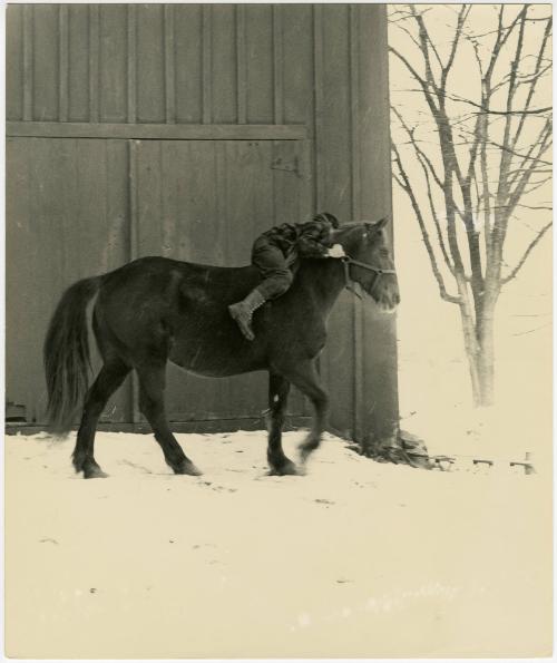 Farm boy riding horse into snow