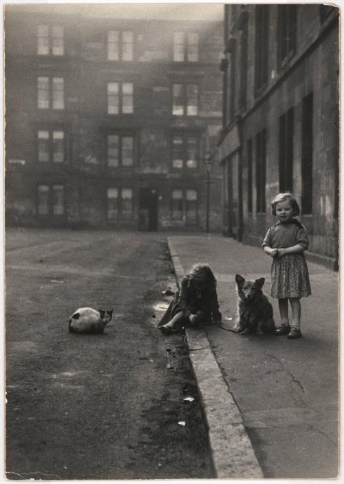 Two girls with pet dog and cat on city sidewalk