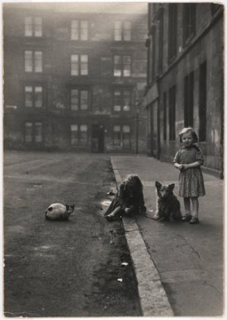 Two girls with pet dog and cat on city sidewalk