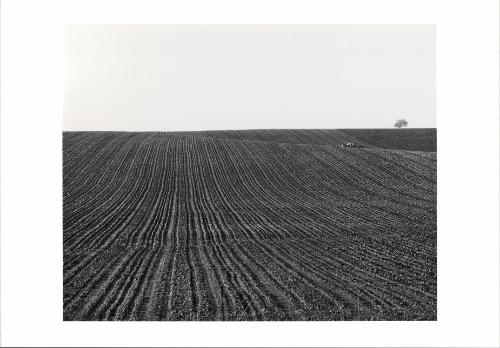 Plowed Field with Truck, Cedar County, Iowa