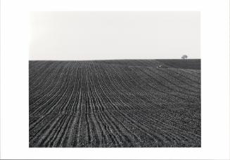 Plowed Field with Truck, Cedar County, Iowa