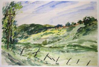 Landscape with Fences