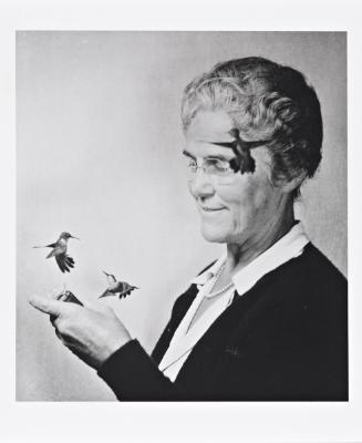 Mrs. Webster and Her Hummingbirds