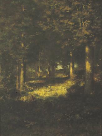 Woodland Interior