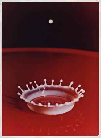 Copyright © The Harold and Esther Edgerton Family Foundation