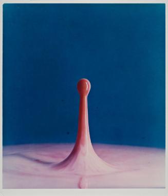 Copyright © The Harold and Esther Edgerton Family Foundation