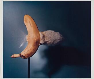 Copyright © The Harold and Esther Edgerton Family Foundation