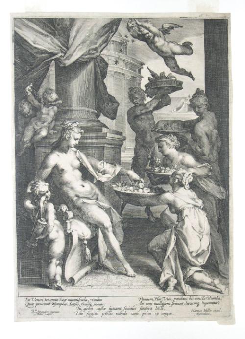 Venus Receiving Flowers, Fruits, and Birds from Nymphs