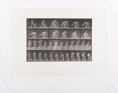 Eadweard Muybridge