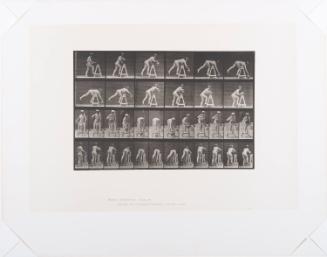 Eadweard Muybridge