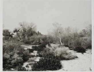 Santa Ana Wash, next to Norton Air Force Base, San Bernardino, California