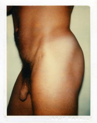 Nude Model (Male)