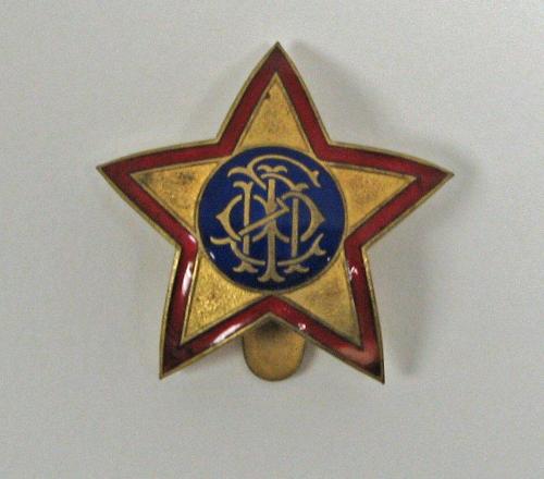 Lapel Pin