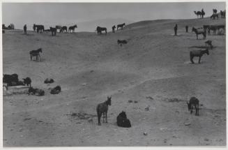 Market Compound, Ouarzazate, Morocco