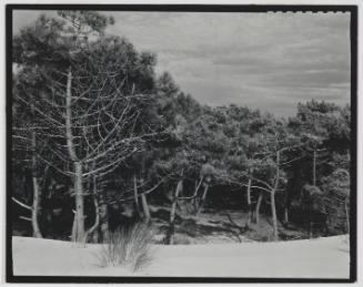 Near Royan, Charente, France