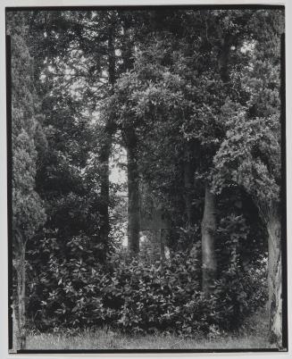 Cross in the Wood, Sainte Mere, Gers, Near the Loire Valley, France