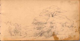 Landscape with large tree in foreground