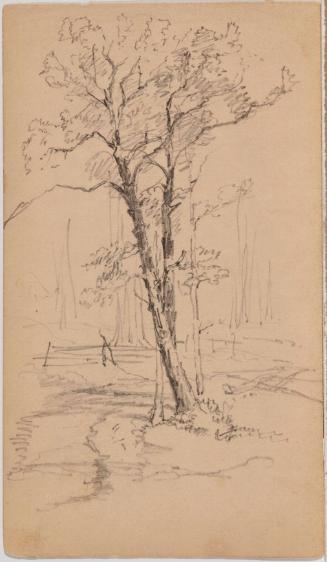 Sheet A: Recto: Trees; Verso: small unfinished sketch and inscription in pencil: “Daniel Brooks, Born Sept 6 1764, Died Sept 1839, Bathsheba B, Born Jan 12 1767, d Oct 20 1847”; Sheet B: Recto: inscribed in ink: “Rear of 2”; Verso: