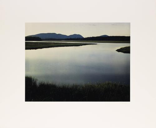 Tidal marsh. Mount Desert Island, Maine. from In Wildness