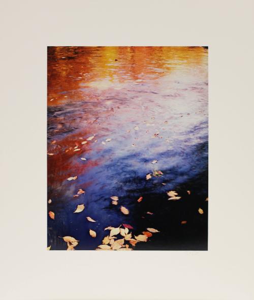 Pool in a brook. Pond Brook, near Whiteface, New Hampshire. from In Wildness