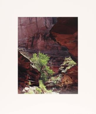 Coyote Gulch. Escalante River. August 17, 1971 from Glen Canyon