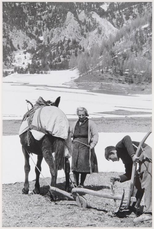 Peasants, Queyras, France