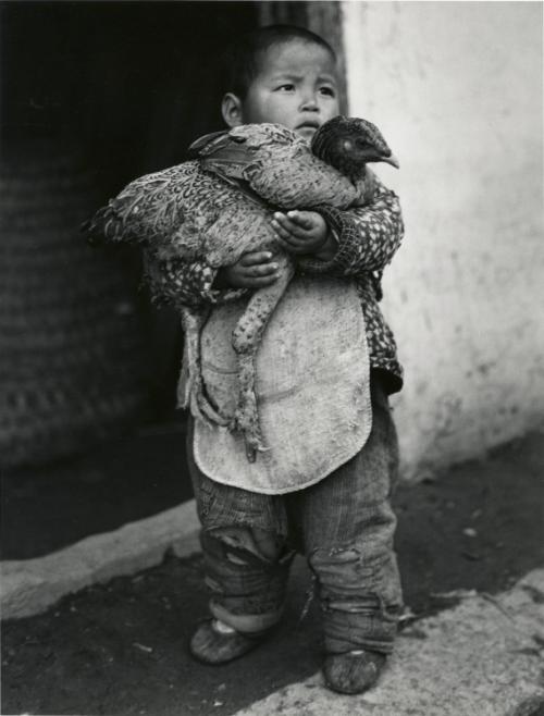 Boy with chicken, Hungjao, China