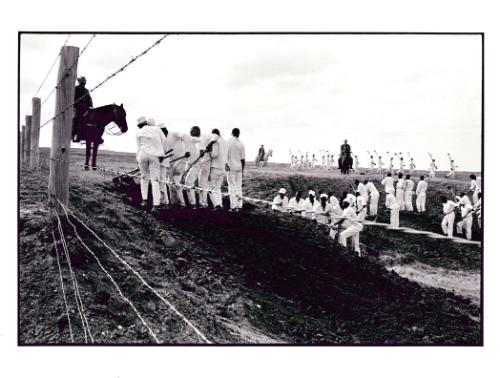 The line, Ferguson Unit, Texas from the series Conversations with the Dead