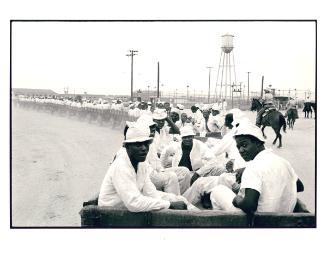 Convicts being transported in wagons to work from the series Conversations with the Dead