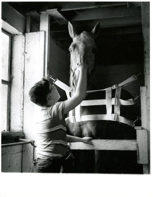 [Boy with glasses petting horse in stable] from the series Big Brother