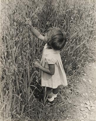 Young Girl in Wheat Field