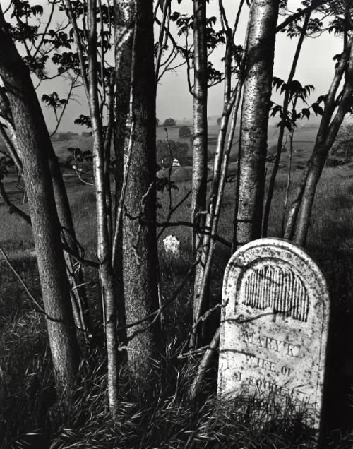 Gravestone and Trees, High Sierra