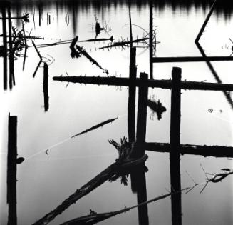 Logging Pond, Alaska