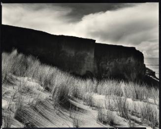 Desert Landscape, New Mexico