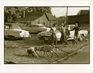 A Young Boy fighting "Goat Dog," from the series Knoxville, Tennessee