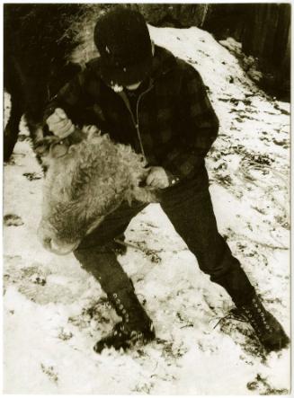 Farm boy grabbing bull by its horns