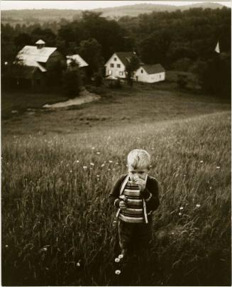 Young boy picking dandelions