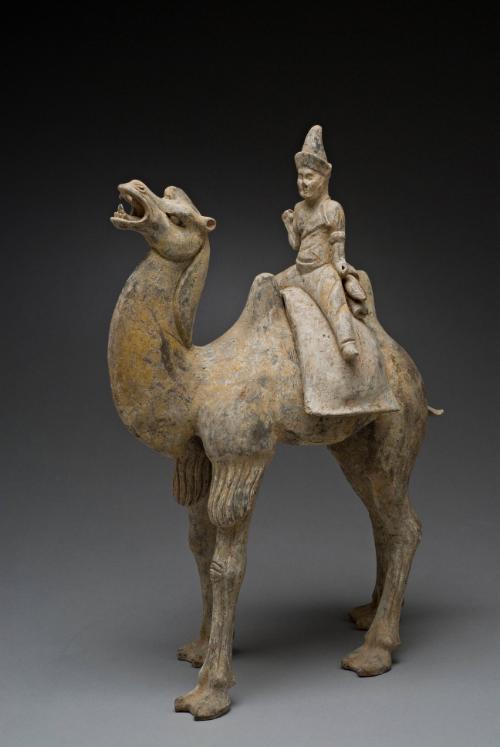 Camel and Rider