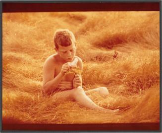 Portrait of boy holding flower in grassy field