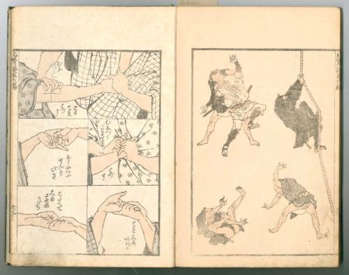 (Denshin kaishu) Hokusai manga [(Transmitting the Spirit, Revealing the Form of Things) Hokusai Sketchbook], Vol. 6