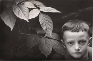 Boy with freckles and leaves, Italy