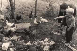 Boy with Chickens, Summerhill School, England