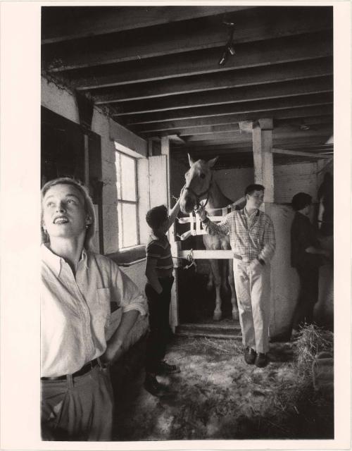 Boy with glasses petting horse in stable with teenagers from the series Big Brother