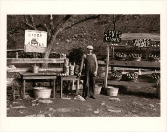 Cider Stand, Blue Ridge Mountains, Virginia