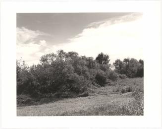 11. Tree lines at the edge of crop land, the Coquille River valley, Coos County, Oregon. From Turning Back, A Photographic Journal of Re-exploration