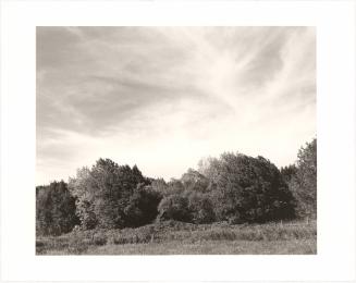 12. Tree lines at the edge of crop land, the Coquille River valley, Coos County, Oregon. From Turning Back, A Photographic Journal of Re-exploration